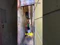 真没想到这个小巷子 竟有红绿灯 真是太有趣了 科普 知识 冷知识 真没想到这个小巷子 竟有红绿灯 真是太有趣了 科普 知识 冷知识