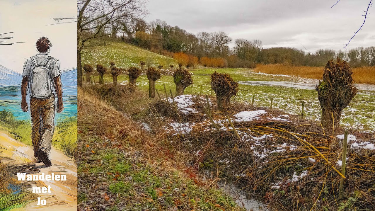 Bommershoven: verborgen diamant in Haspengouw | Wandeling, geschiedenis & streekverhalen