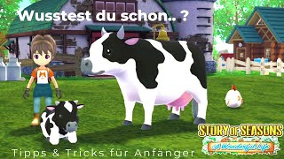 Story of Seasons A Wonderful Life | 11 nützliche Tipps und Tricks