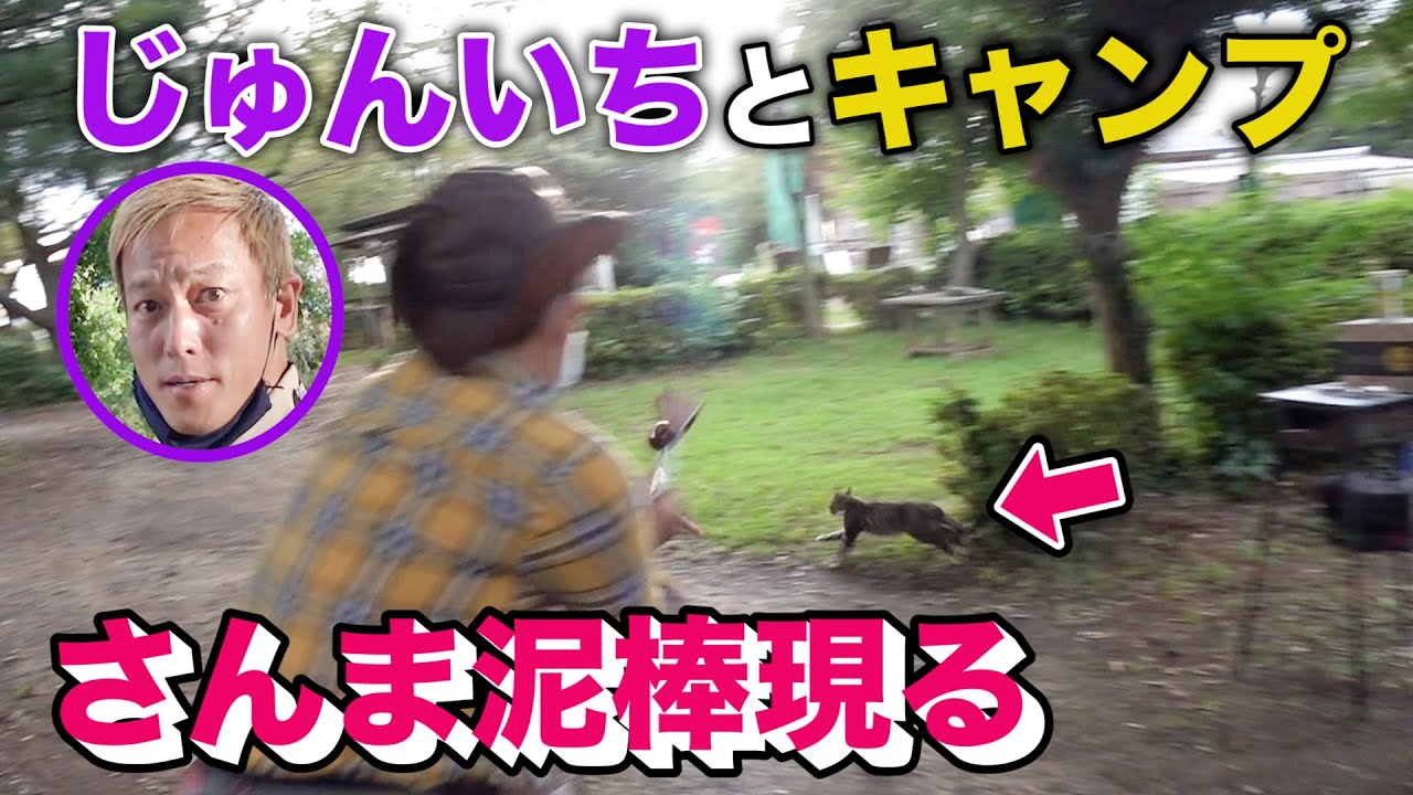奇跡 じゅんいちダビッドソンと初キャンプしたら 猫がさんまを盗みに来ました Youtube 奇跡 じゅんいちダビッドソンと初キャンプしたら 猫がさんまを盗みに来ました Youtube