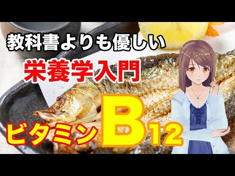 【栄養学の基礎】ビタミンB12の特徴や生理作用、過剰症や欠乏症などを簡単に解説してみた！