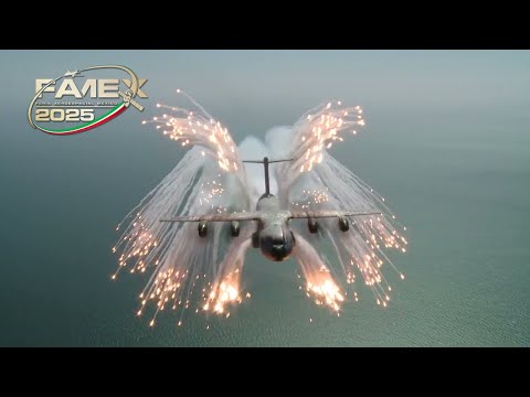 El avión de
