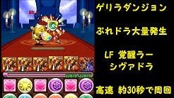 パズドラ配信 Youtube