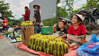 Single mother raising three children, Harvest melons yellow to sell, Take care of children, Cooking