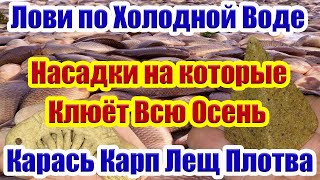 видео: Лучшие Насадки для Карася Леща Плотвы осенью Рыболовная насадка для карася На что ловить рыбу осенью картинка: Лучшие Насадки для Карася Леща Плотвы осенью Рыболовная насадка для карася На что ловить рыбу осенью