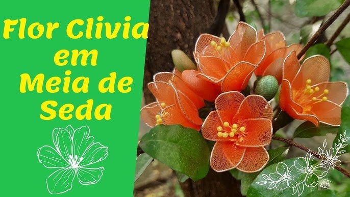 FLORES EM MEIA DE SEDA] Como Fazer Orquídea Cymbidium aloifolium em Meia de  Seda 2023 - thptnganamst.edu.vn