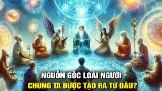 Nguồn Gốc Loài Người: Chúng Ta Được Tạo Ra Từ Đâu? - Cách Lý Giải Rõ Ràng Đáng Kinh Ngạc (Phần 2)