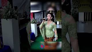 Download Lagu MANGKU PUREL #live #livestream #livestreaming #dangdut #koplo #pernikahan #livetunda #adatjawa MP3