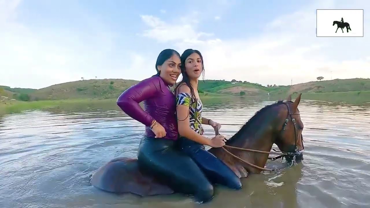 Can a Horse Really Swim With a Scared Rider?