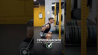ПРИСЕДАНИЯ - КАК ПРАВИЛЬНО!