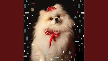 Pulsating Ambience for Exciting Dog Walks