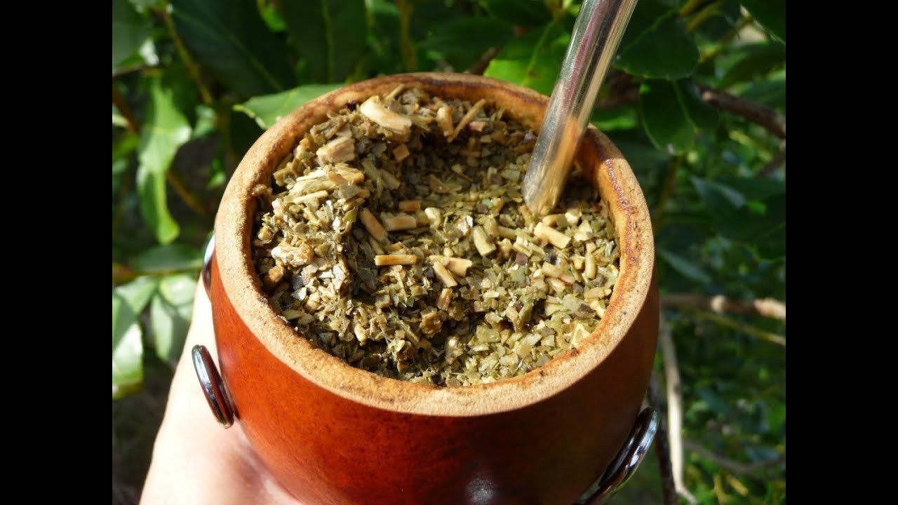 BUEN DÍA YERBA MATÉ