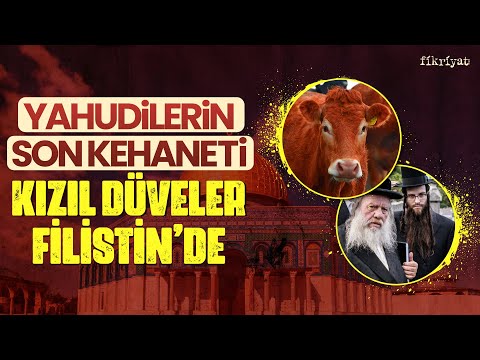 Yahudilerin son kehaneti Kızıl Düve neden Filistin'de? l #kızıldüve