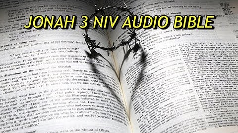 JONAH 3 NIV AUDIO BIBLE(with text)