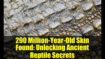 290 Million-Year-Old Skin Found: Unlocking Ancient Reptile Secrets