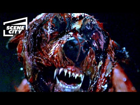 Resident Evil: Mutant Dogs (MOVIE SCENE)
