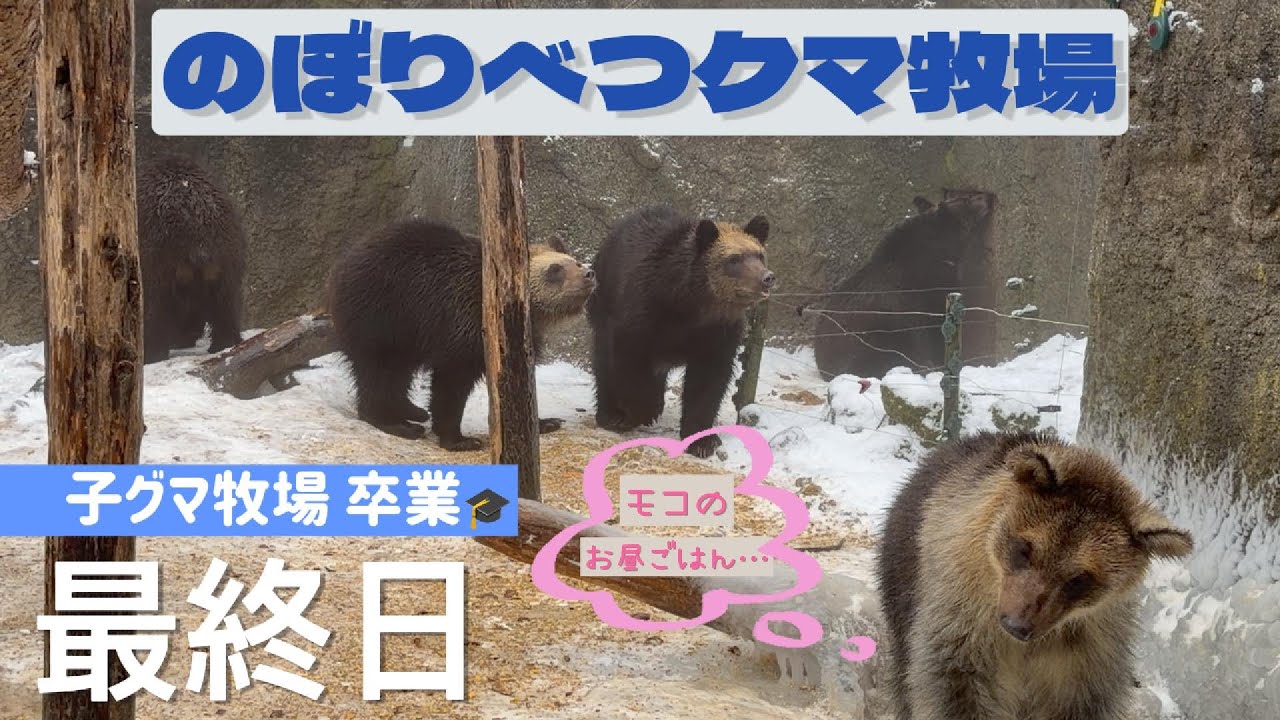 [2025/12⑥] Последний день для медвежат! ~Обед?