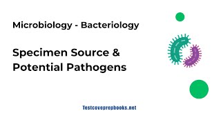 Specimen Sources and Pathogens | Bacteriology | ASCP MLS Prep