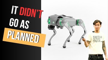 ChatGPT Told Me To Do This With a Robot Dog