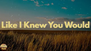 Payton Smith - Like I Knew You Would (Lyrics)