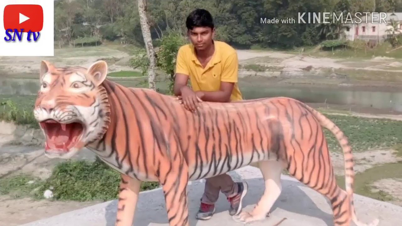 JNS SHOHAN 420@Gmail.com