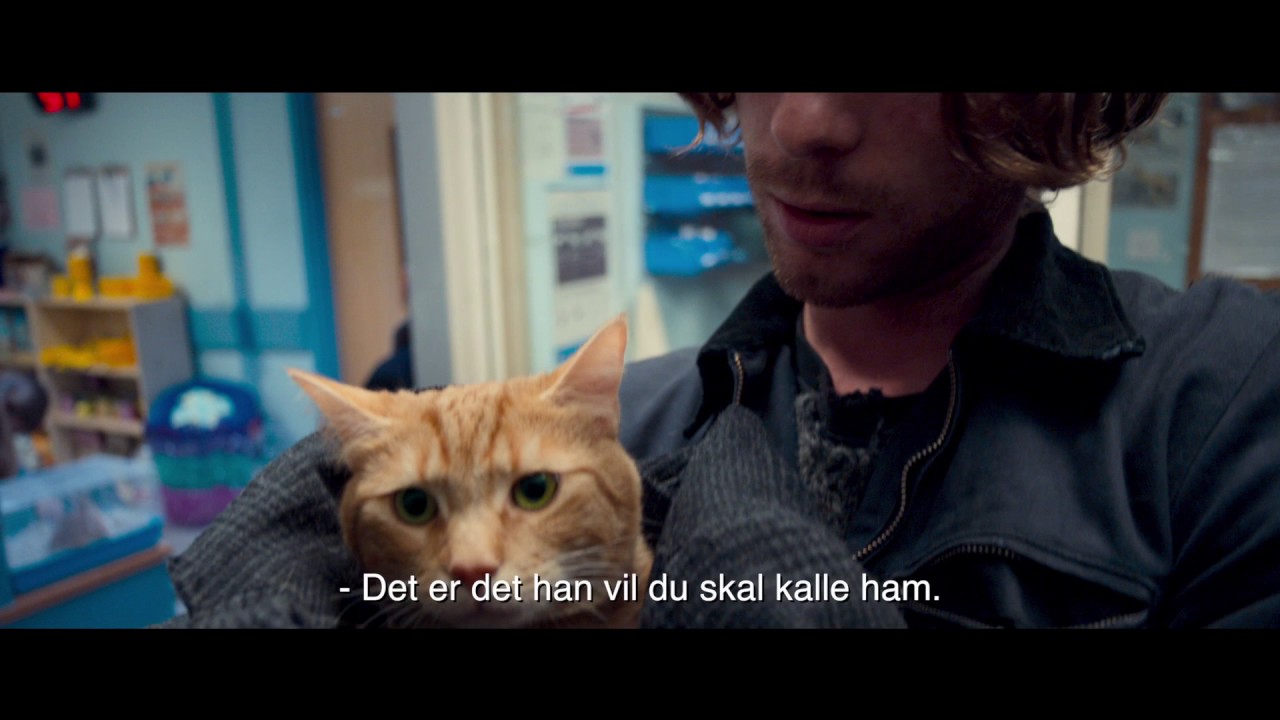 En gatekatt ved navn Bob | Offisiell trailer