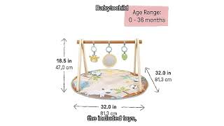 Ingenuity Wonder & Wood Baby Play Mat Review That Every Parent Should See Today. screenshot 4