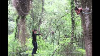 Les Arts Felus - Les Paysagismes Acrobatiques Saison 1