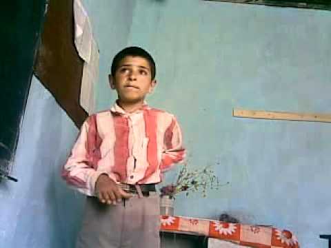 بام شیب