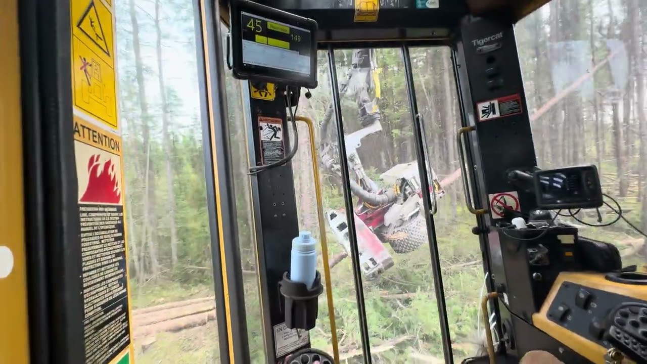 Tigercat with a Logmax 7000xt