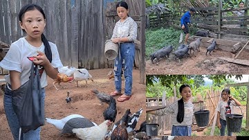 2 tug ntxhais kwv dej pub qaib pub npua