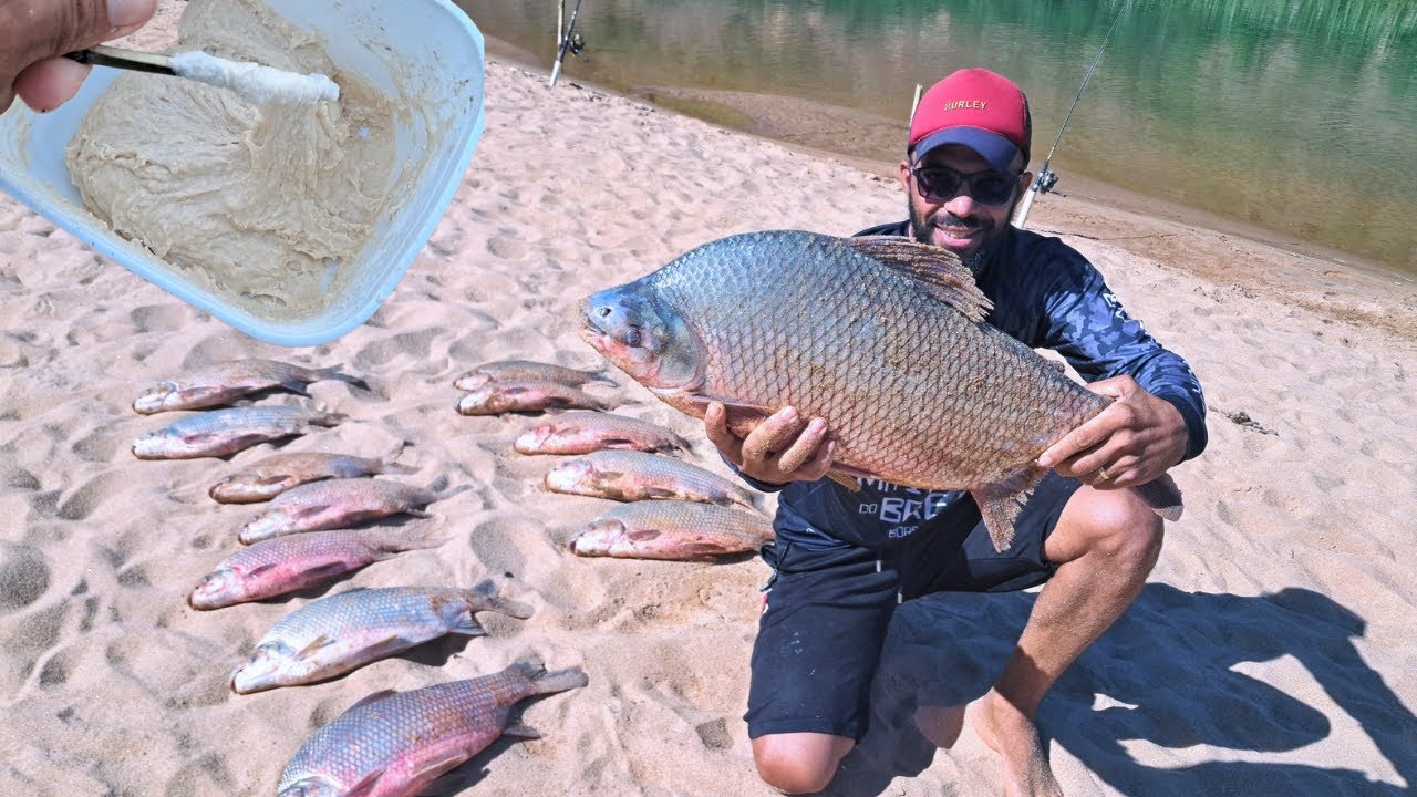 Como pescar curimba gigante, dicas e técnica fatal com equipamento e isca certa, pescaria!