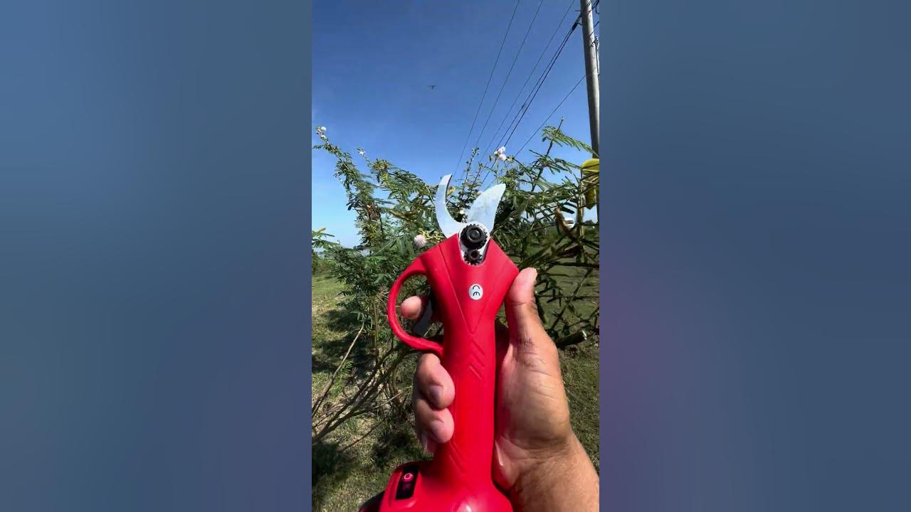 electric scissors easy use save time tool P1822 YouTube