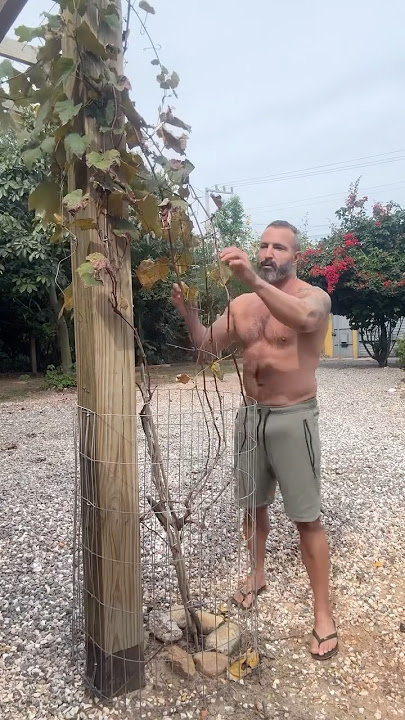 When you see it #daddy #gay #lgbt # hot