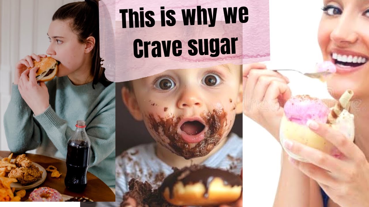 Why we crave sugar, the science behind sweet tooth