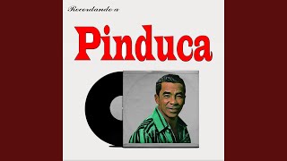 Video thumbnail of "Pinduca - O Pinto"