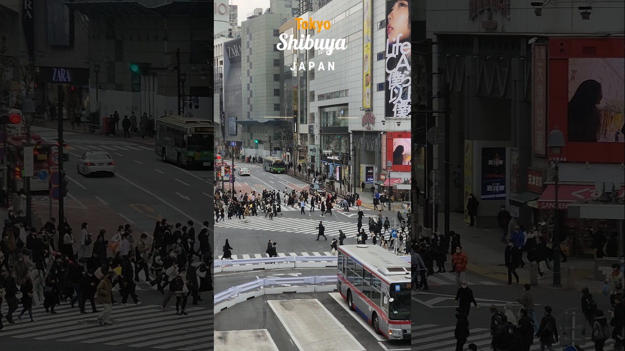 TOKYO CITY CENTER JAPAN THE VIBRANT HEART OF JAPAN'S MODERN METROPOLIS  SHINJUKU SHIBUYA GINZA