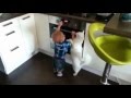 Kepahlawanan Kucing Keluarga Melindungi Bayi dari Oven