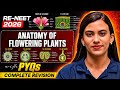 🌸 ANATOMY OF FLOWERING PLANTS ONE SHOT | AIIMS / RE-NEET 2026 |NCERT + PYQ + MCQ 🔥