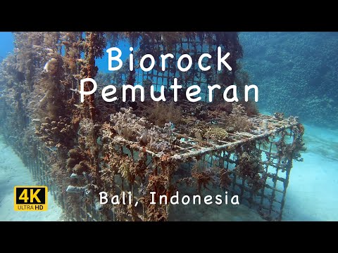 Video: Ghid pemuteran, Bali: planificarea călătoriei