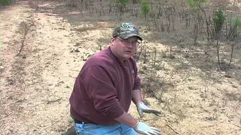 Grey Fox set with Scott Painter