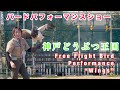 大迫力なバードショー🐦 最後に脱走するハプニング‼️9分 /神戸どうぶつ王国 / KOBE ANIMAL KINGDOM Free Flight Bird Performance“Wings