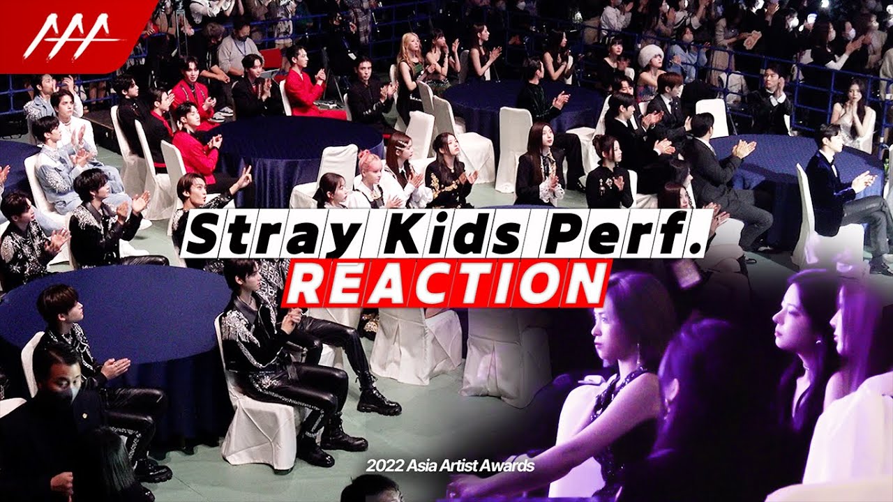 [AAA 리액션] 스트레이키즈 퍼포먼스 리액션 2022 Asia Artist Awards Reaction Cam (Stray Kids Performance Reaction)