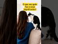 6 Coisas Que Seu Gato Faz e Você Não Sabia o Significado