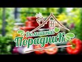 "Домашній порадник": шкідливі харчові звички. Перший Подільський 09.04.2021