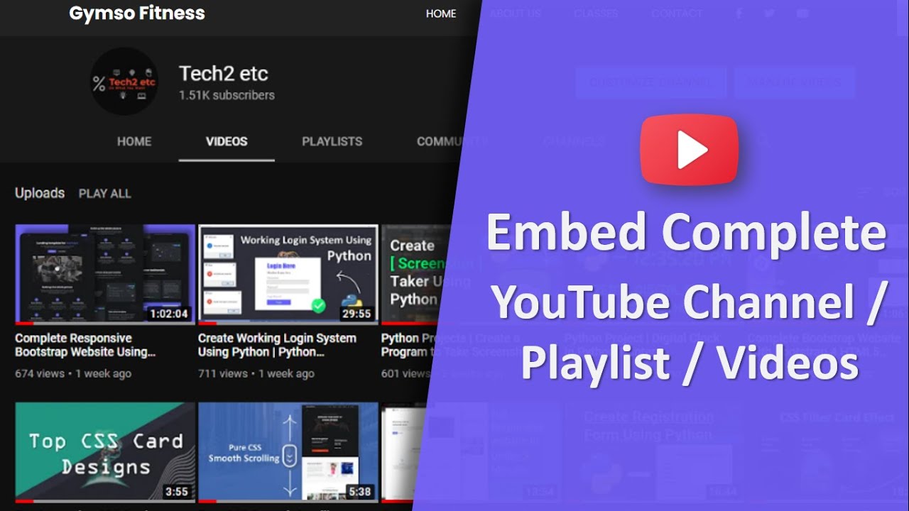 Embed Plus  WordPress Plugin With  Gallery, Channel