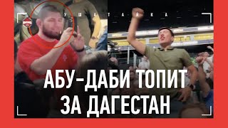 ХАБИБ и ИСЛАМ: Абу-Даби топит за Дагестан / Махачев vs Оливейра: 