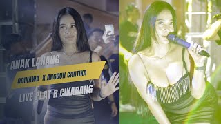 Download lagu ANAK LANANG - ANGGUN CANTIKA - O.M OQINAWA LIVE CIKARANG - Aniv Plat R