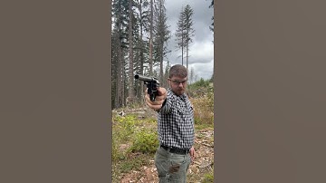 Smith & Wesson M1917, Pistol Showcase #shorts