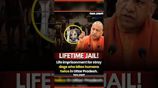 Lifetime Jail viral yogiadityanath news explore upsc phonk